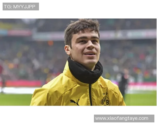 京多安的足球之路：从德甲新星到英超巨星的辉煌历程与成就