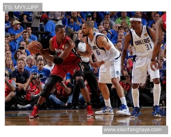 2005年小牛队与热火队总决赛精彩回顾与历史意义分析