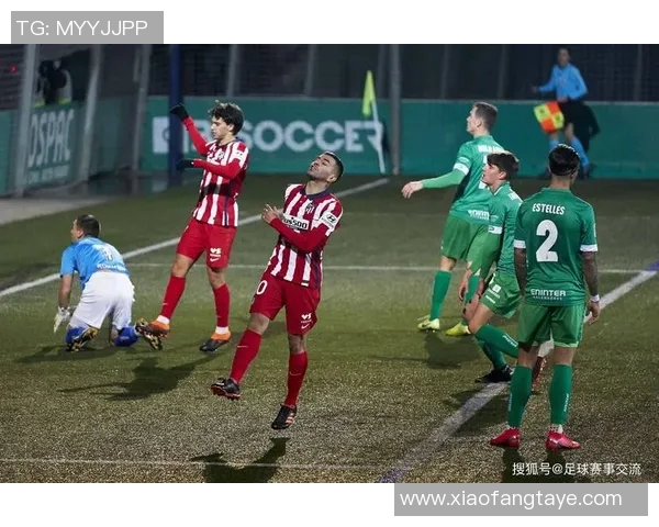 埃斯托里尔主场迎战查维斯期待精彩对决与胜利的较量