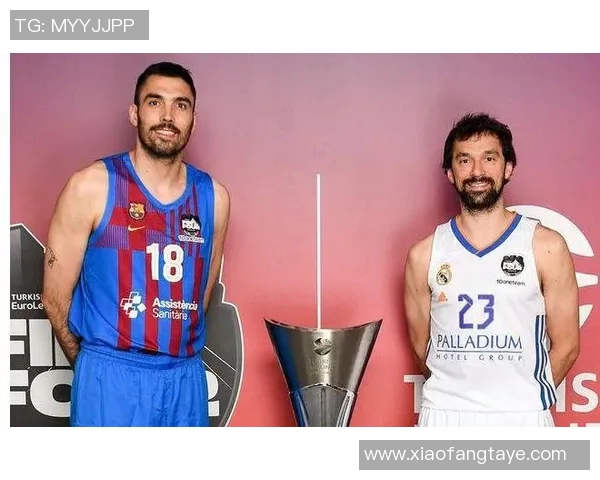 奥林匹亚与埃菲斯的巅峰对决揭示篮球战术与团队协作的完美结合