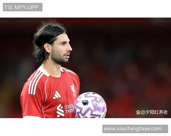 探索索博斯洛伊的历史与文化遗产之旅：揭秘这座城市的独特魅力与风土人情