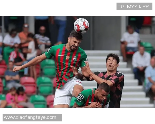 斯巴达与流浪者的激烈对决揭示了足球战术与团队精神的完美结合