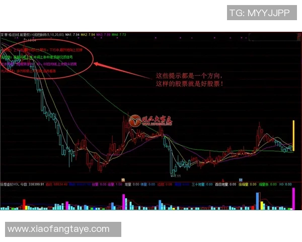 棉农与萨德比分预测分析及未来走势探讨 棉农与萨德比分预测分析及未来走势探讨