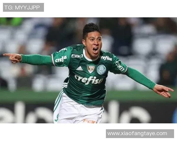 巴西国际与帕梅拉斯2019年精彩对决回顾与分析