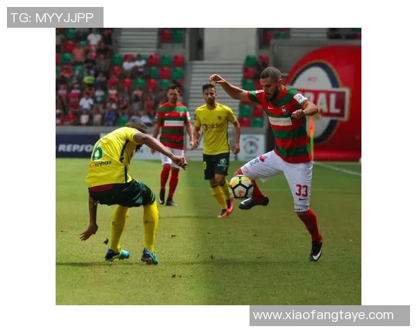 费伦斯与费雷拉对决分析及胜负推荐详解