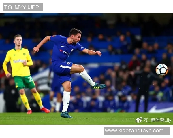 诺维奇与切尔西精彩对决全场录像回放及精彩瞬间分析 诺维奇与切尔西精彩对决全场录像回放及精彩瞬间分析