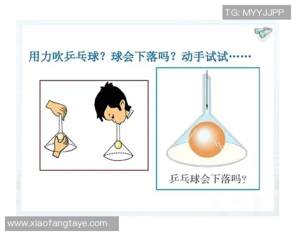 科学乒乓球训练方法揭秘提升实力的有效技巧与策略MBA