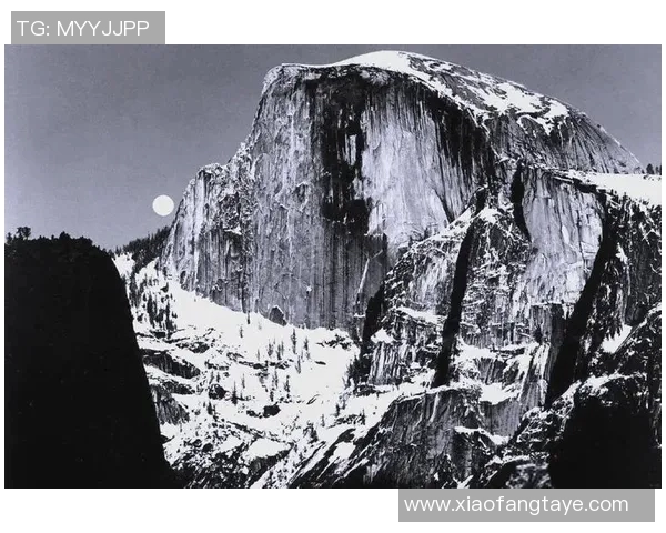 亚当斯的传奇人生与伟大成就探秘：从平凡到卓越的奋斗历程