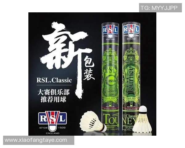 从零基础到高手之路羽毛球技巧与训练全方位指南MBA 从零基础到高手之路羽毛球技巧与训练全方位指南MBA