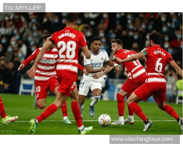 圣保利主场迎战奥厄2019年2月16日精彩对决回顾与分析