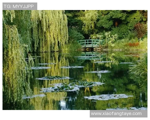 布莱克尼的秘密花园探险之旅与自然和谐共生的奇妙体验