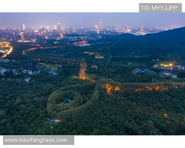 广东东莞与南京的精彩对决揭示两地文化与经济发展的独特魅力 广东东莞与南京的精彩对决揭示两地文化与经济发展的独特魅力