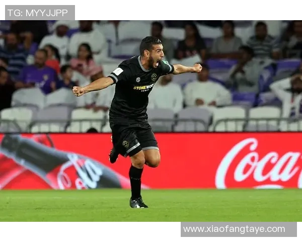 惠灵顿与艾因比赛比分分析及精彩瞬间回顾 惠灵顿与艾因比赛比分分析及精彩瞬间回顾