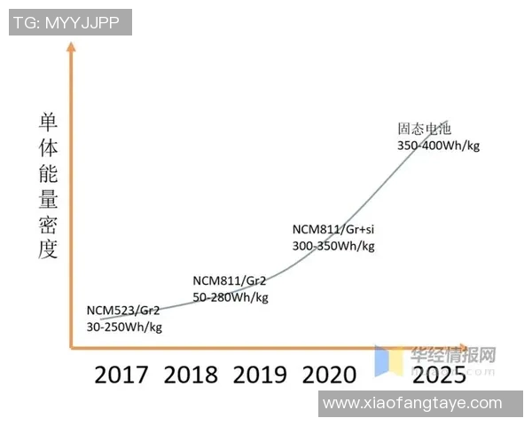 杭州极限运动队的节奏探讨与发展前景分析