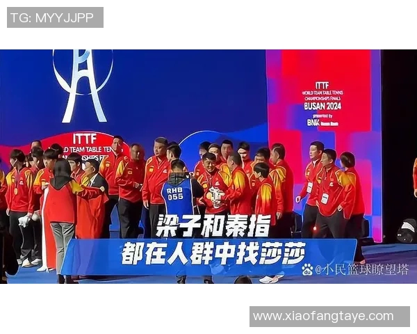 法国与爱尔兰激战正酣比赛结果引发球迷热议与期待