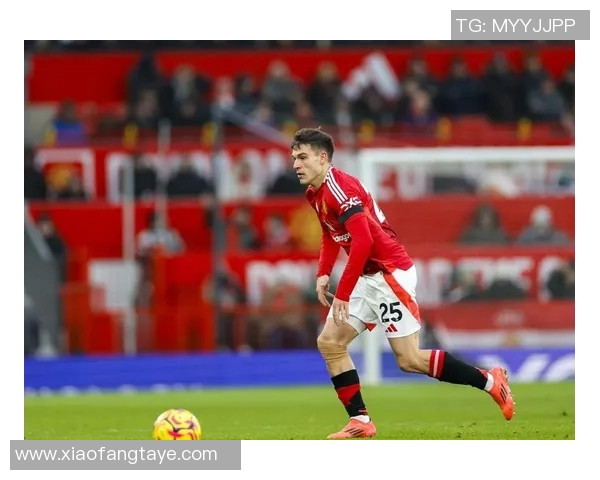 满布赖顿迎战曼联激战在即球迷期待精彩对决与进球盛宴 满布赖顿迎战曼联激战在即球迷期待精彩对决与进球盛宴