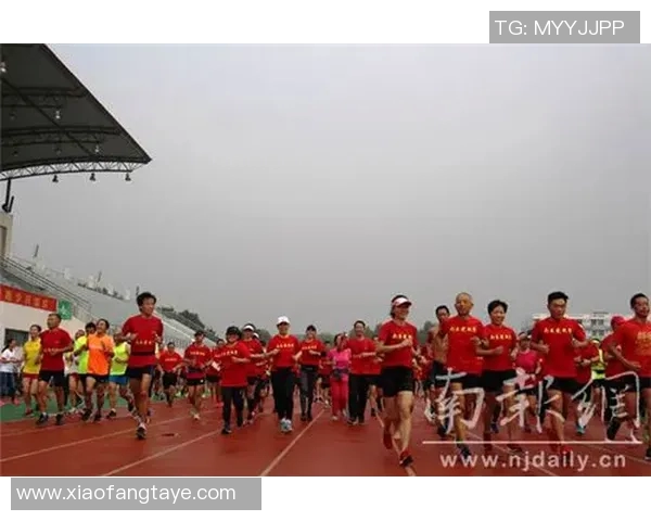 南京飞盘队团队协作深度剖析与其他队伍的对比研究