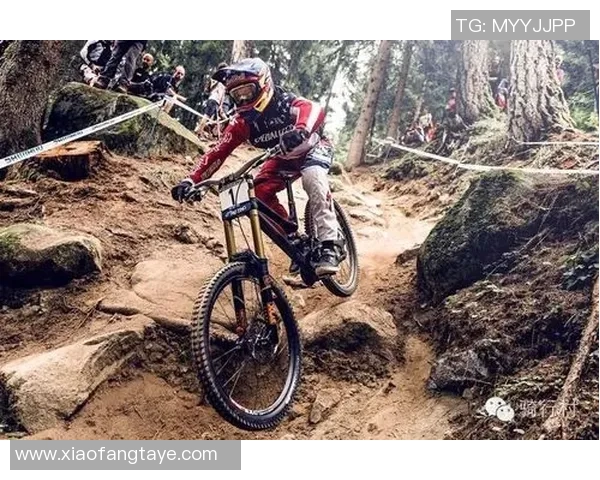 极限运动的热血追梦：成都极限运动队的奋斗与成长故事