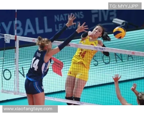 深度对话：探索陈娜在排球赛场上的奋斗与成长之路